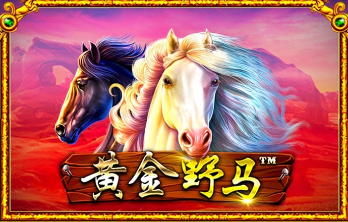 hth会体会官网