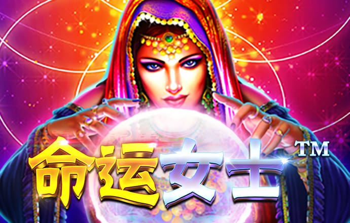半岛综合app